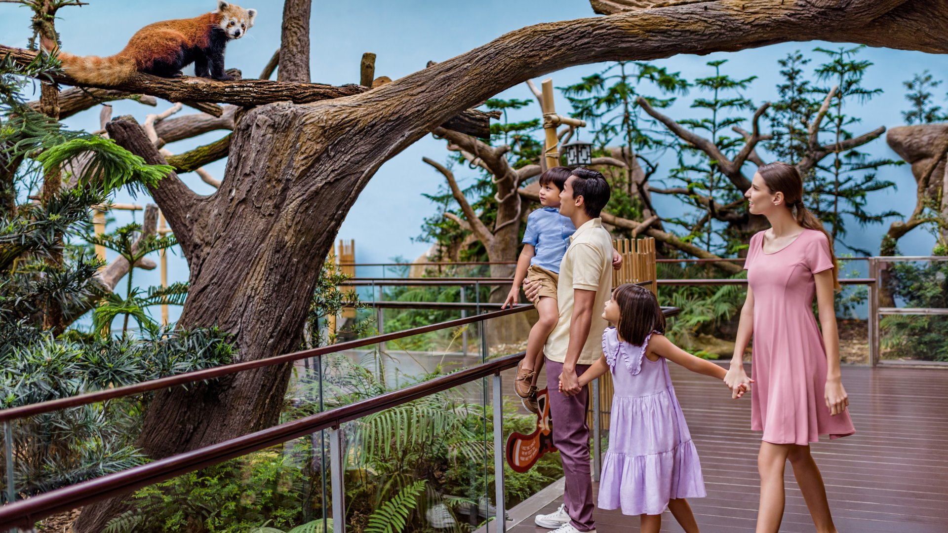 Night Safari Singapore (Mandai Wildlife Reserve)