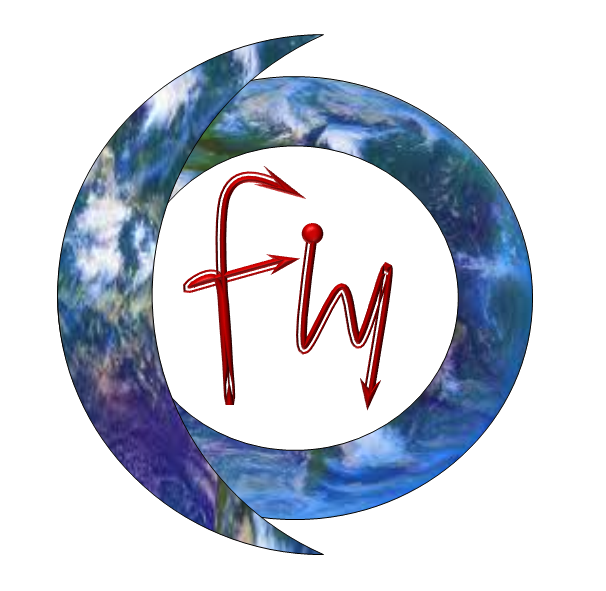 Flying Wonders Logo